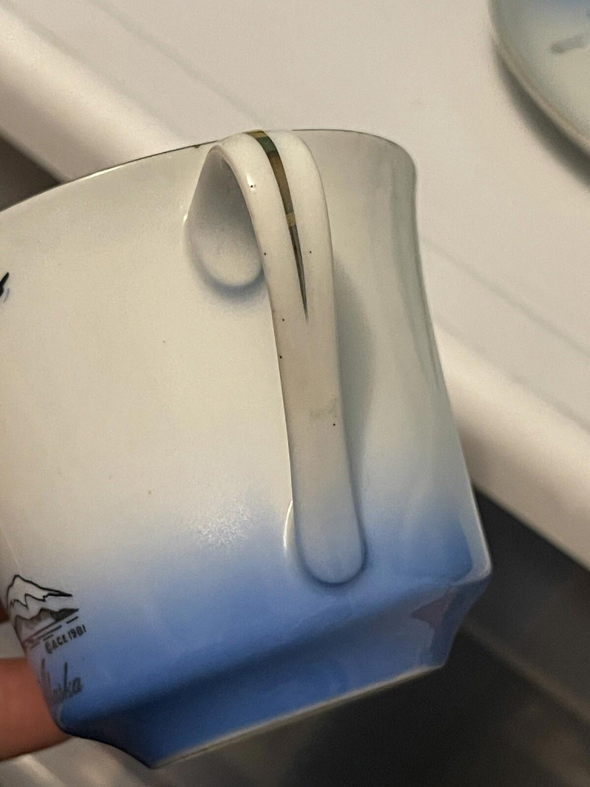 Discover Alaska tea set