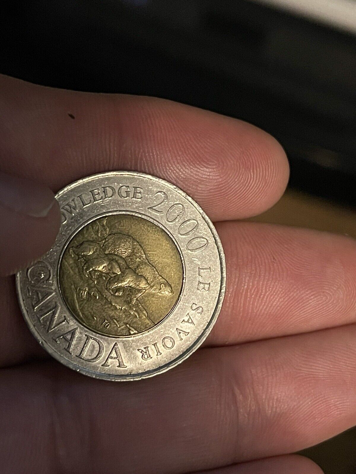 2000 Elizabeth II canada coin rare 2 dollars 