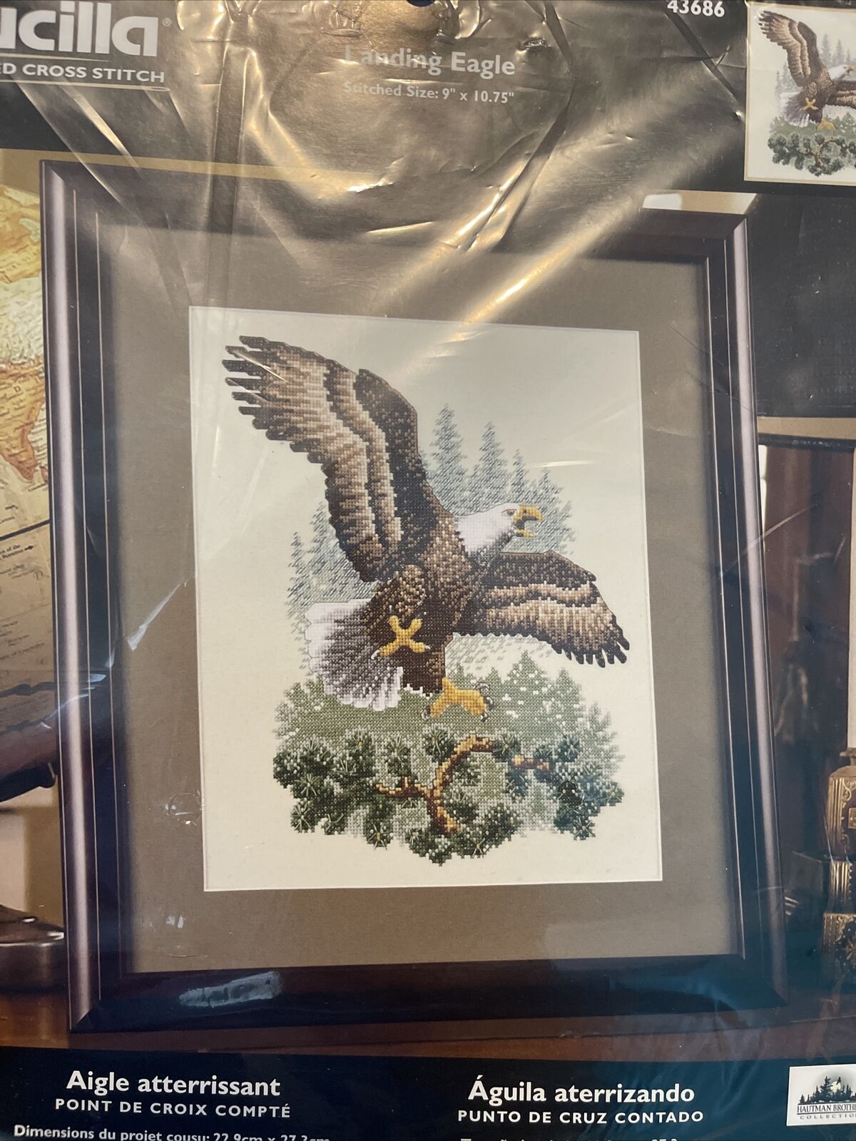 Bucilla Landing Eagle Counted Cross Stitch Kit 43686 (6)