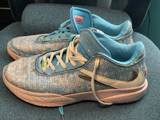 Nike Lebron 20 XX ASW All Star Blue Coconut Milk Shoes Men’s Size 11.5